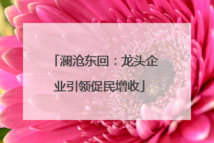 澜沧东回：龙头企业引领促民增收