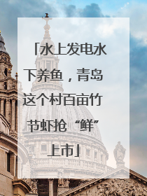 水上发电水下养鱼，青岛这个村百亩竹节虾抢“鲜”上市