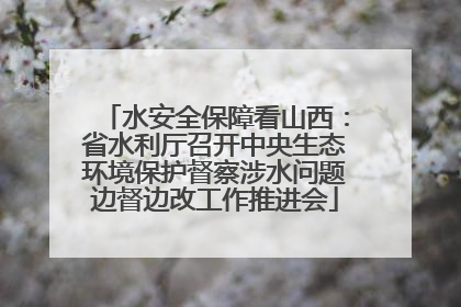 水安全保障看山西：省水利厅召开中央生态环境保护督察涉水问题边督边改工作推进会