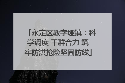 永定区教字垭镇：科学调度 干群合力 筑牢防洪抢险坚固防线