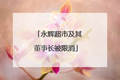 永辉超市及其董事长被限消