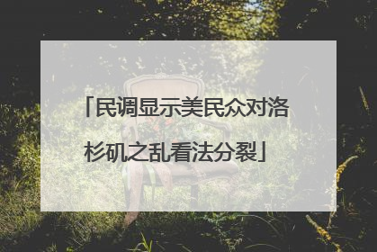 民调显示美民众对洛杉矶之乱看法分裂