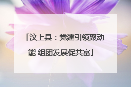 汶上县：党建引领聚动能 组团发展促共富