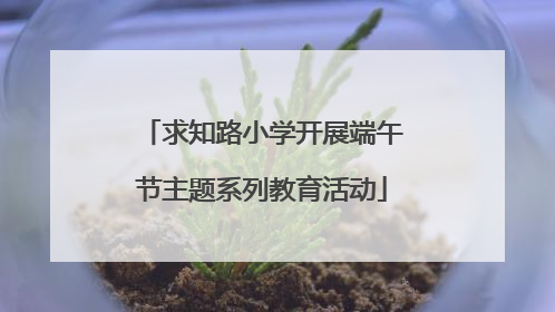 求知路小学开展端午节主题系列教育活动