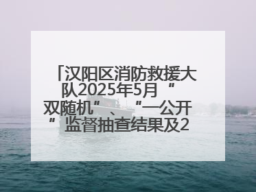 汉阳区消防救援大队2025年5月“双随机”、“一公开”监督抽查结果及2025年6月监督抽查任务公示