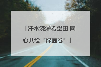 汗水浇灌希望田 同心共绘“绿画卷”