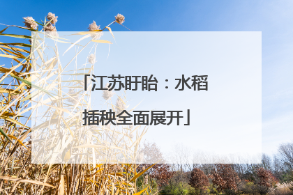 江苏盱眙：水稻插秧全面展开