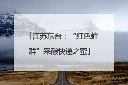 江苏东台：“红色蜂群”采酿快递之蜜