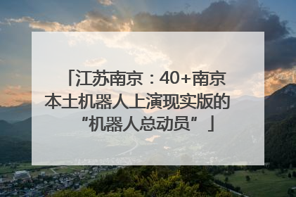 江苏南京：40+南京本土机器人上演现实版的“机器人总动员”