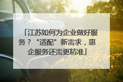 江苏如何为企业做好服务？“适配”新需求，惠企服务还需更精准