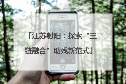 江苏射阳：探索“三链融合”助残新范式