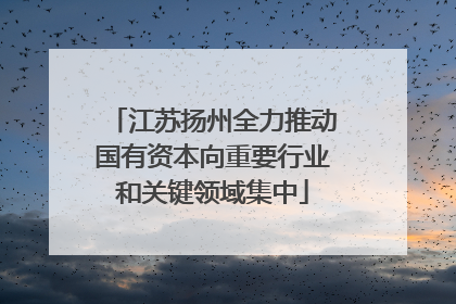 江苏扬州全力推动国有资本向重要行业和关键领域集中