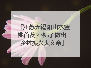 江苏无锡阳山水蜜桃首发 小桃子做出乡村振兴大文章