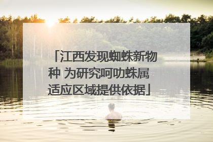 江西发现蜘蛛新物种 为研究呵叻蛛属适应区域提供依据