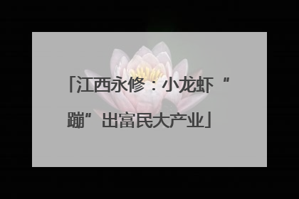 江西永修：小龙虾“蹦”出富民大产业