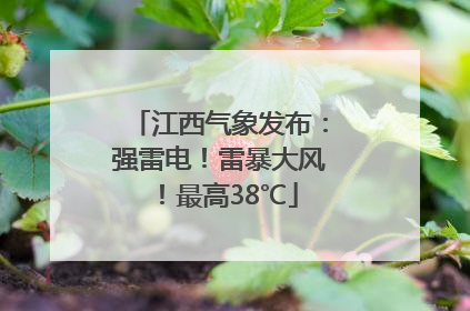 江西气象发布：强雷电！雷暴大风！最高38℃