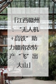 江西赣州：“无人机+高铁”助力赣南农特产“飞”出大山