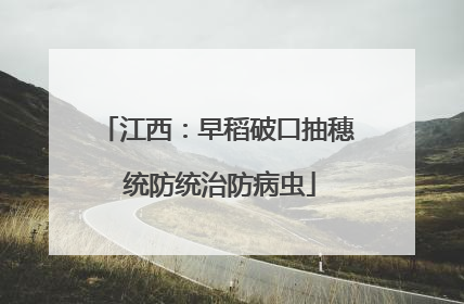 江西：早稻破口抽穗 统防统治防病虫