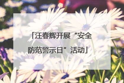 汪春辉开展“安全防范警示日”活动