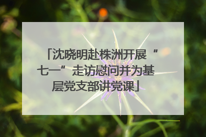沈晓明赴株洲开展“七一”走访慰问并为基层党支部讲党课