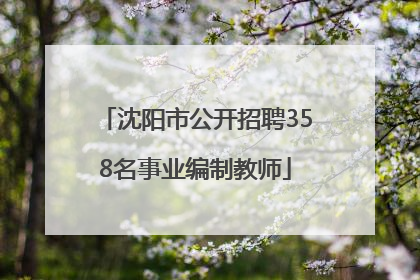 沈阳市公开招聘358名事业编制教师