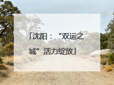 沈阳：“双运之城”活力绽放