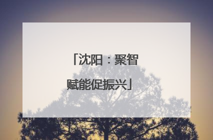 沈阳：聚智赋能促振兴