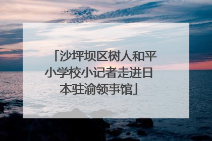 沙坪坝区树人和平小学校小记者走进日本驻渝领事馆