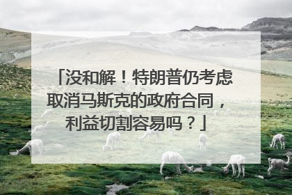 没和解！特朗普仍考虑取消马斯克的政府合同，利益切割容易吗？