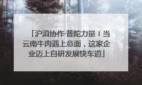 沪滇协作·普陀力量〡当云南牛肉遇上意面，这家企业迈上自研发展快车道
