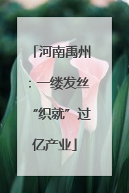 河南禹州：一缕发丝“织就”过亿产业