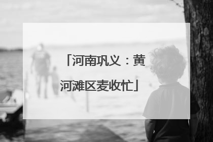 河南巩义：黄河滩区麦收忙