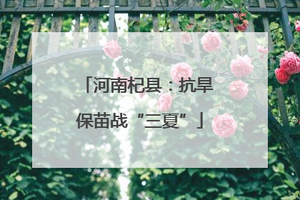 河南杞县：抗旱保苗战“三夏”