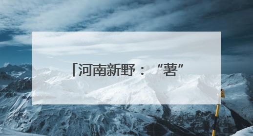 河南新野：“薯”光无限 订单农业激活乡村振兴密码