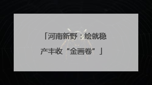 河南新野：绘就稳产丰收“金画卷”