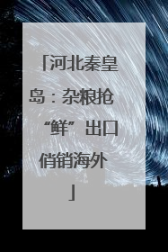 河北秦皇岛：杂粮抢“鲜”出口 俏销海外