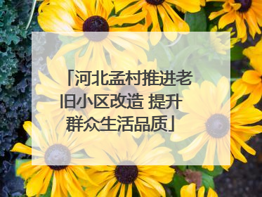 河北孟村推进老旧小区改造 提升群众生活品质