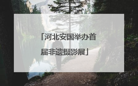 河北安国举办首届非遗摄影展