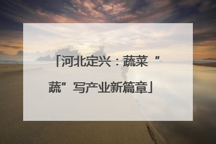 河北定兴：蔬菜“蔬”写产业新篇章