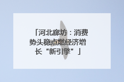 河北廊坊：消费势头稳点燃经济增长“新引擎”