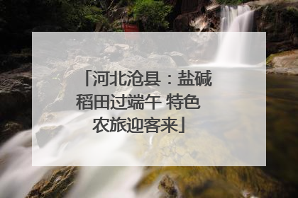 河北沧县：盐碱稻田过端午 特色农旅迎客来