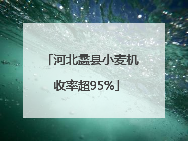 河北蠡县小麦机收率超95%