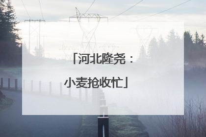 河北隆尧：小麦抢收忙