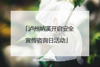 泸州纳溪开启安全宣传咨询日活动