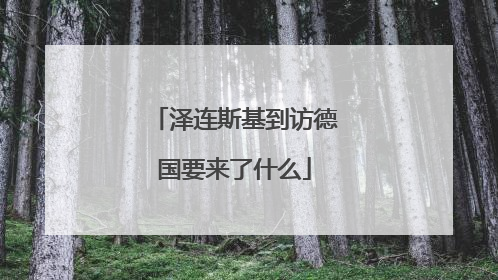 泽连斯基到访德国要来了什么