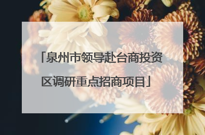 泉州市领导赴台商投资区调研重点招商项目