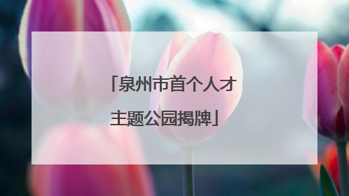 泉州市首个人才主题公园揭牌