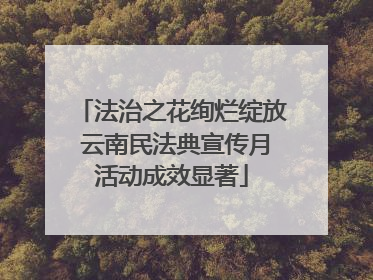 法治之花绚烂绽放 云南民法典宣传月活动成效显著