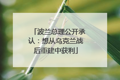 波兰总理公开承认：想从乌克兰战后重建中获利