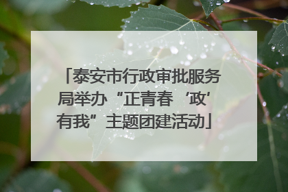 泰安市行政审批服务局举办“正青春‘政’有我”主题团建活动